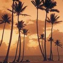 Hotel-Barcelo-Bavaro-Palace-Night